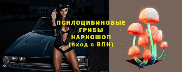 эйфоретик Балахна