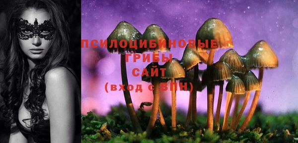 эйфоретик Балахна