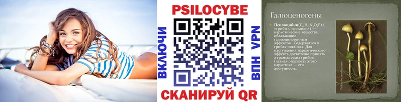 Галлюциногенные грибы Psilocybe  купить   Тюкалинск 